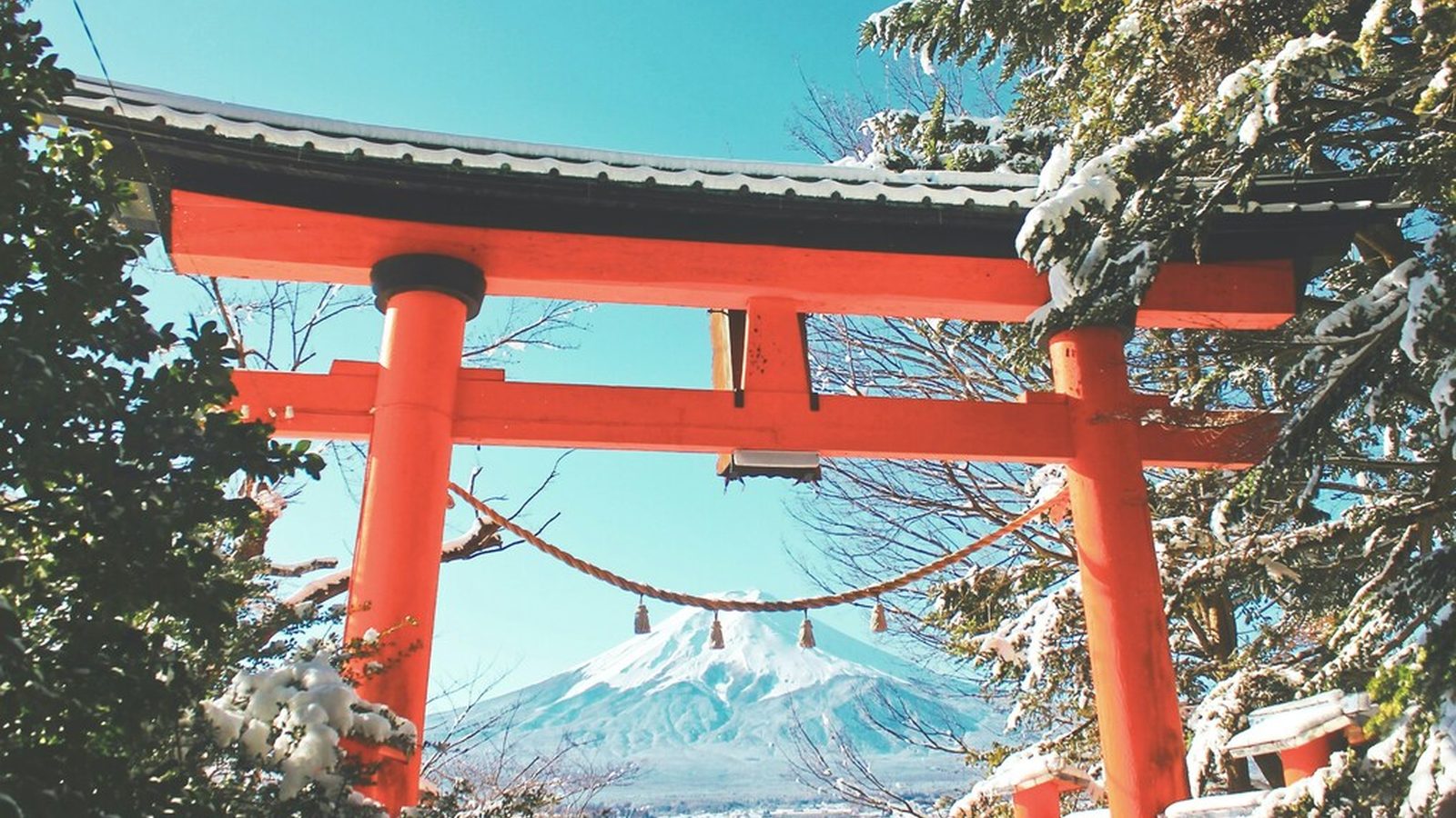 二〇五〇年の日本、その輪郭を描く