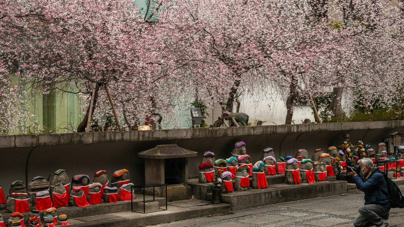 Instagram時代の若い茶人たち